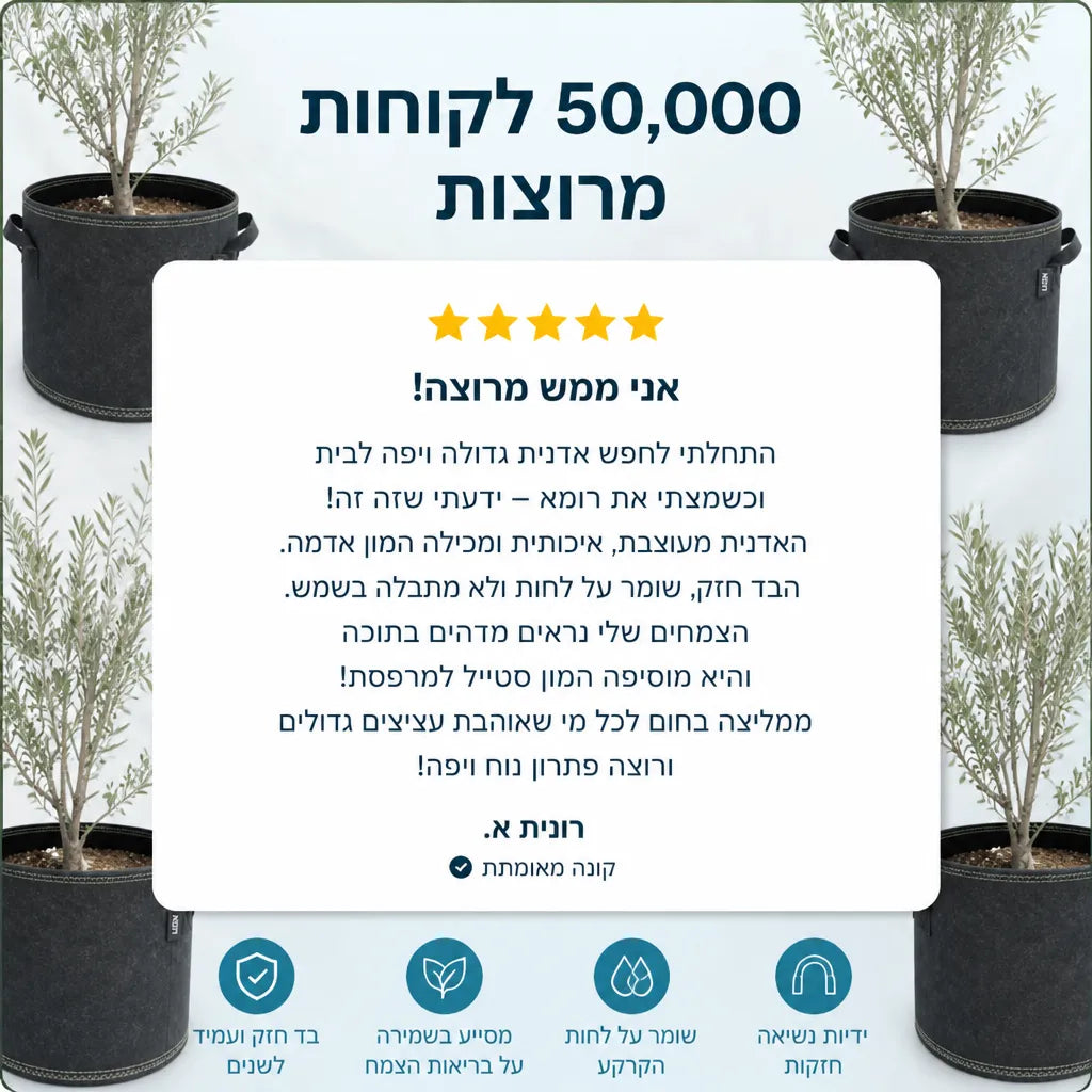 עציץ בד