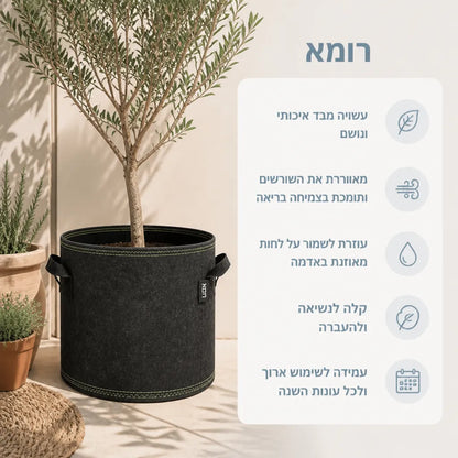 עציץ בד
