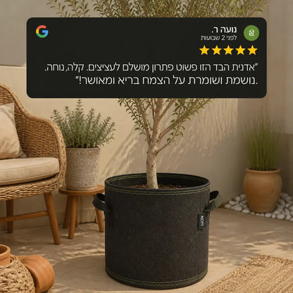 עציץ בד